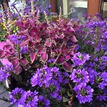 ウスタレ ホテル